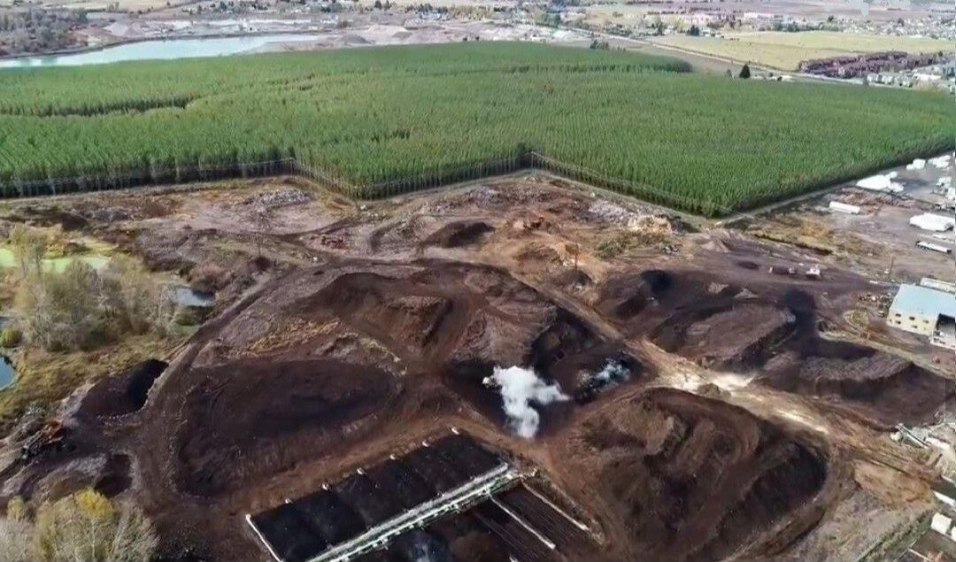 Missoula wastewater facility - Hybrid Poplar tree plantings